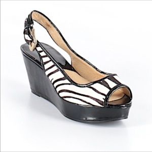 Zebra Wedge